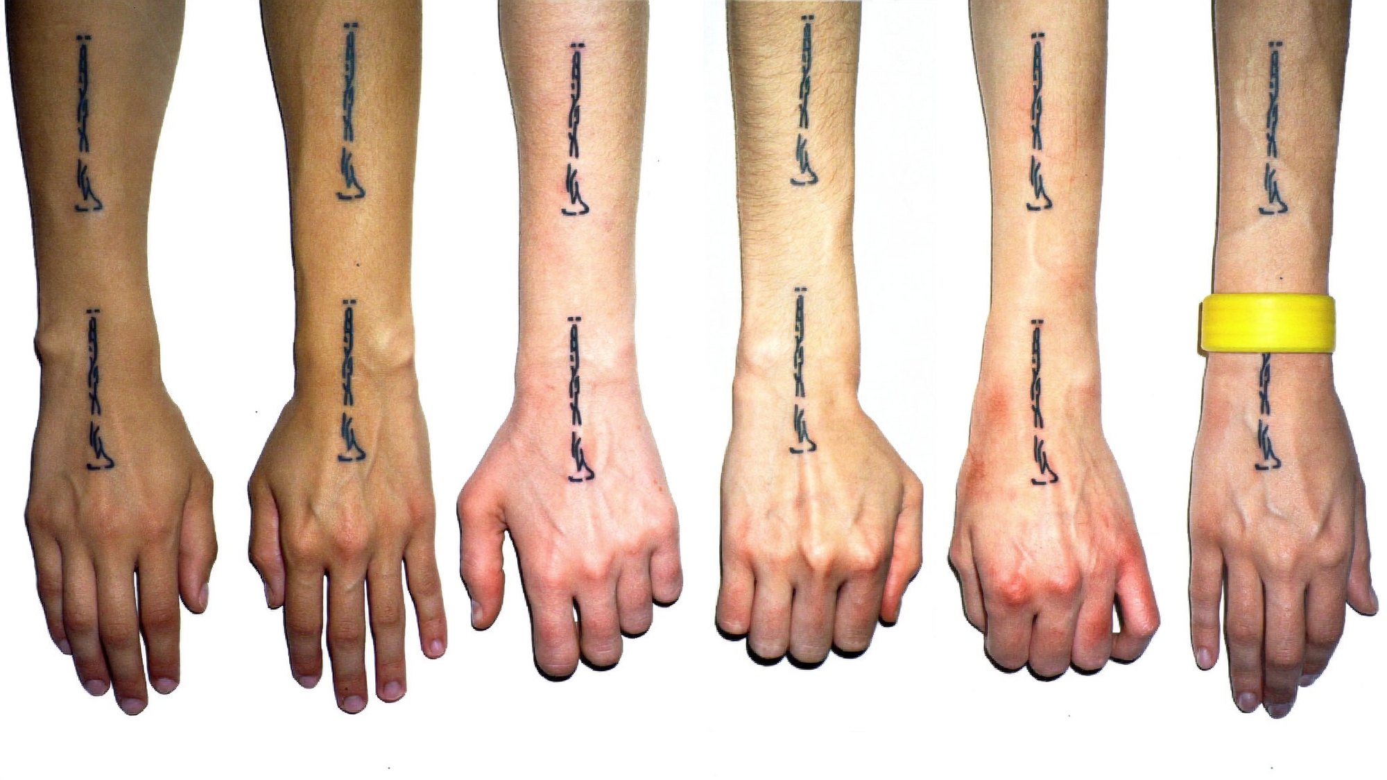Braccia tatuate in fila, fine line